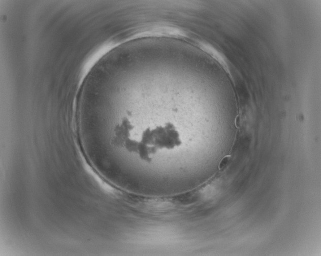 X0000061741103200512091604