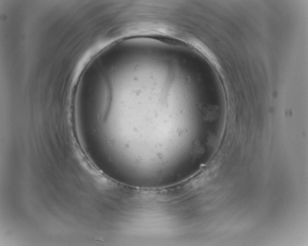 X0000061741104200512091604