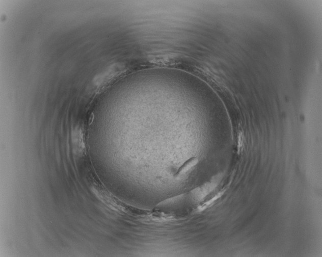 X0000061741106200512091603