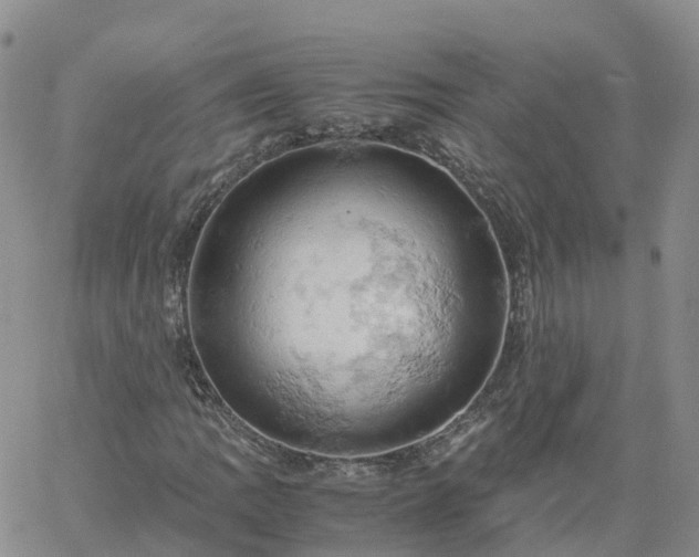 X0000061741109200512091603