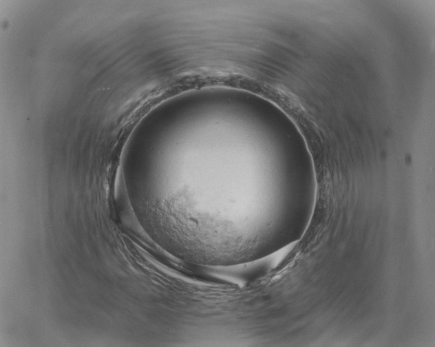 X0000061741110200512091603