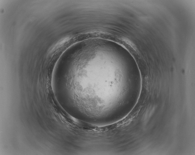 X0000061741111200512091603