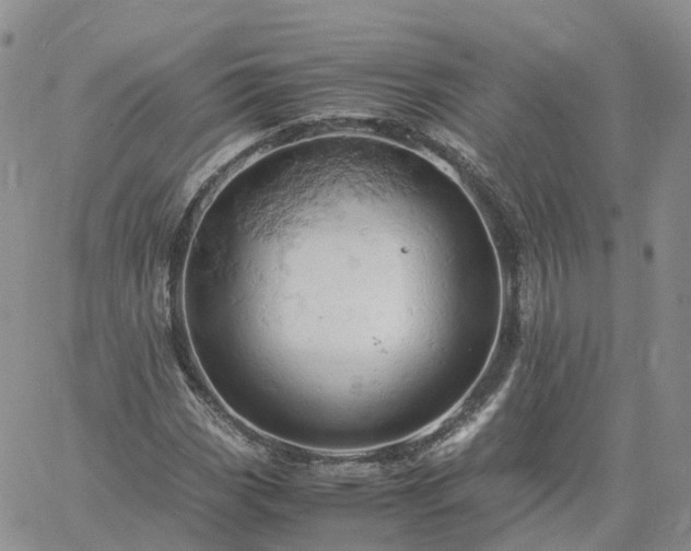 X0000061741113200512091603