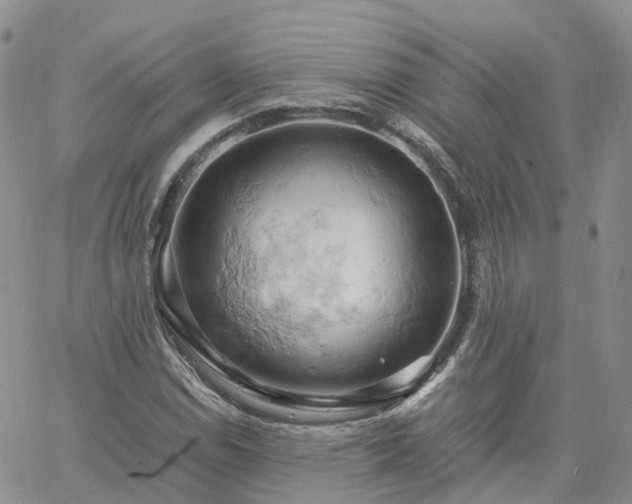 X0000061741114200512091603