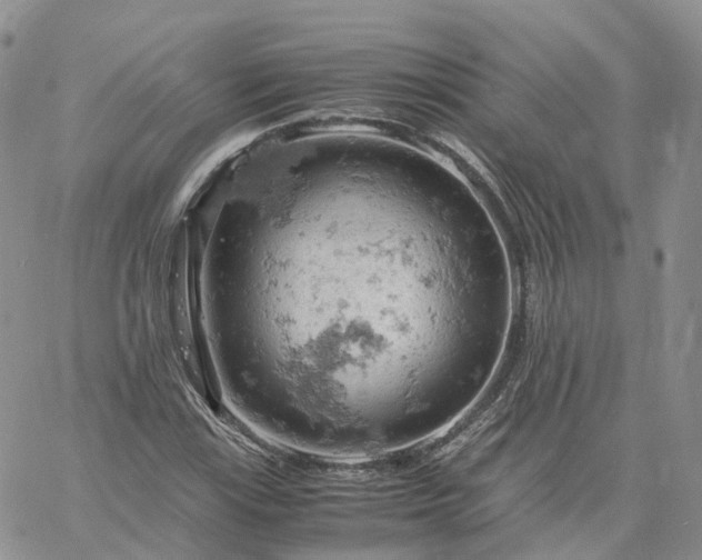 X0000061741115200512091603