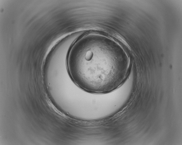 X0000061741116200512091603