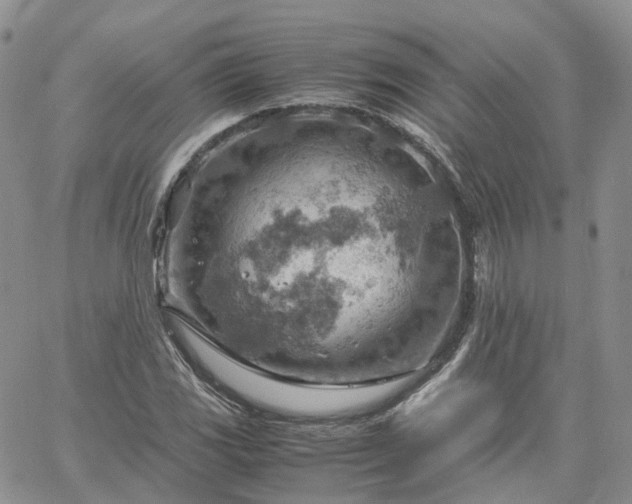 X0000061741117200512091603