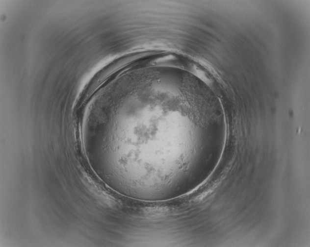 X0000061741118200512091603