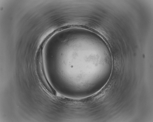 X0000061741119200512091603