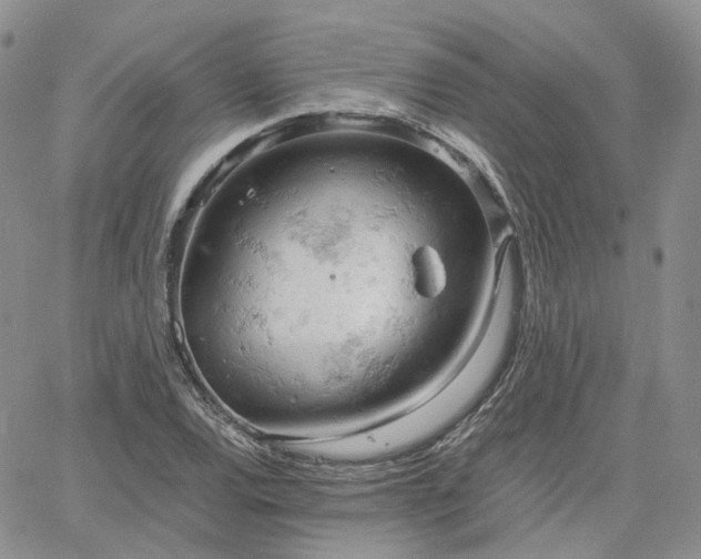 X0000061741120200512091603