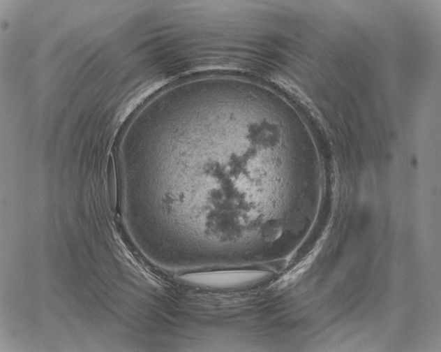 X0000061741121200512091603