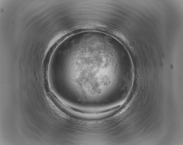 X0000061741122200512091603