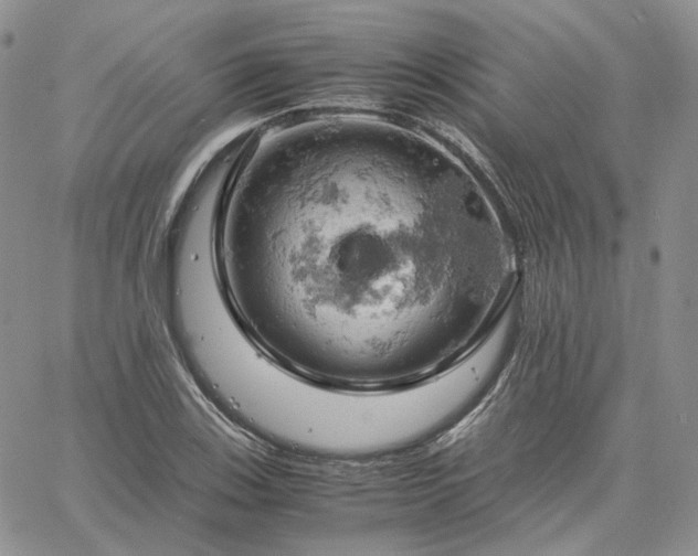 X0000061741123200512091603