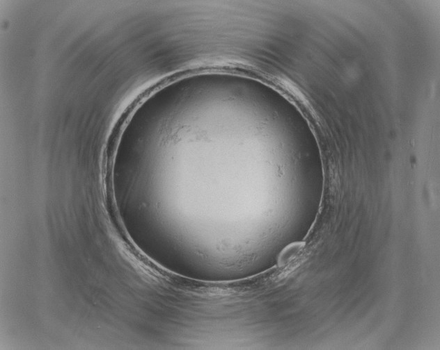 X0000061741124200512091603