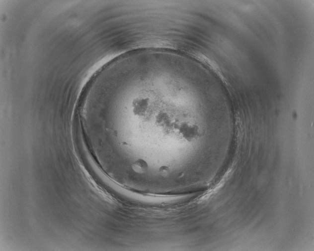 X0000061741125200512091603