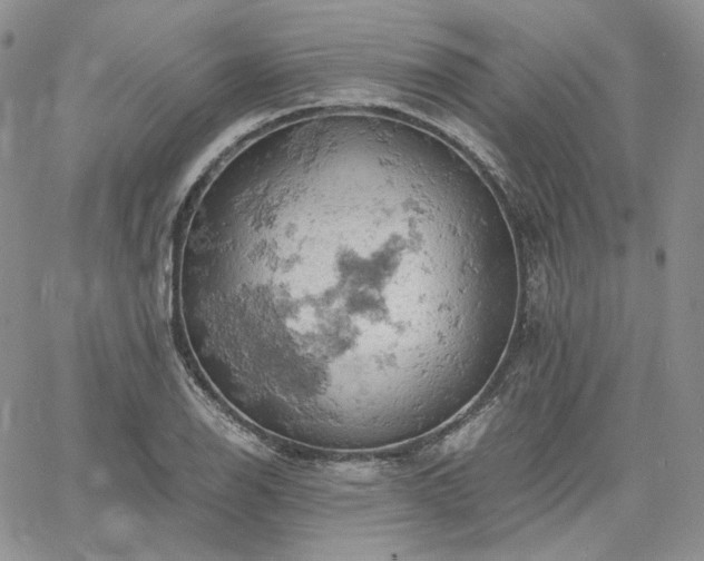 X0000061741126200512091603