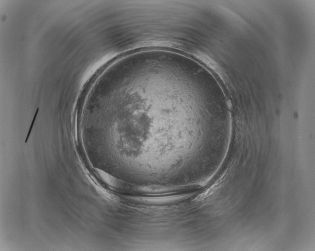 X0000061741127200512091603