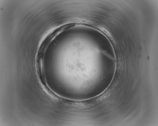 X0000061741128200512091603