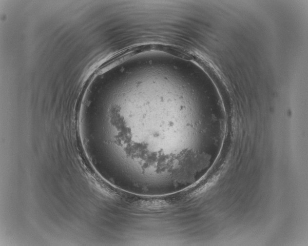 X0000061741129200512091603