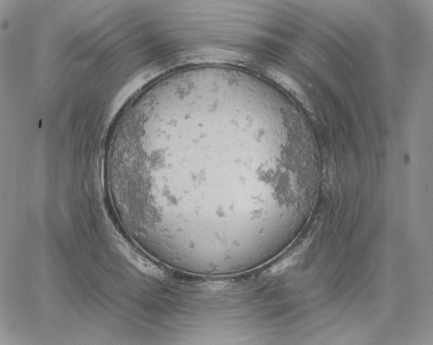 X0000061741130200512091604