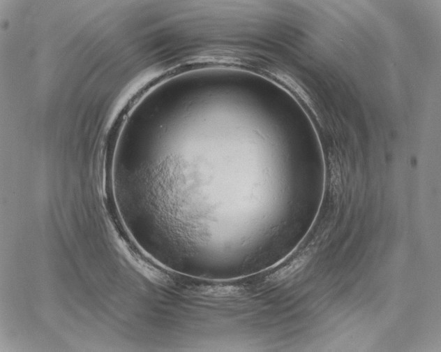 X0000061741131200512091604