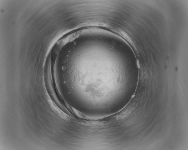 X0000061741132200512091604