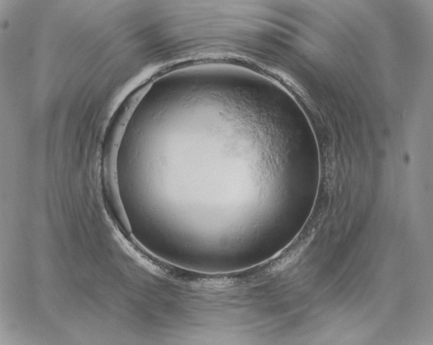 X0000061741134200512091604