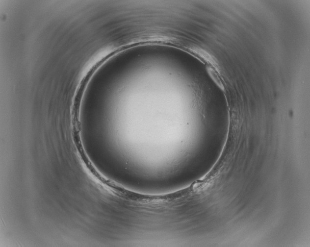 X0000061741135200512091604