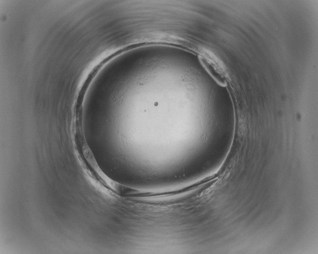 X0000061741136200512091604