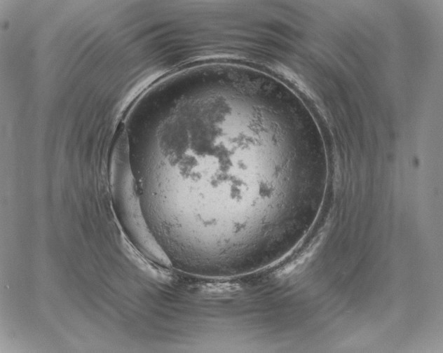 X0000061741137200512091604