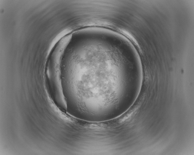 X0000061741138200512091604