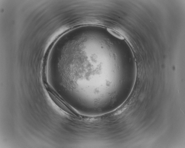 X0000061741139200512091604