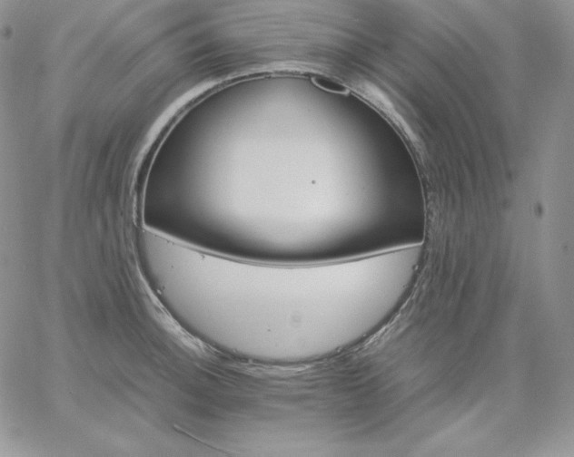 X0000061741140200512091604