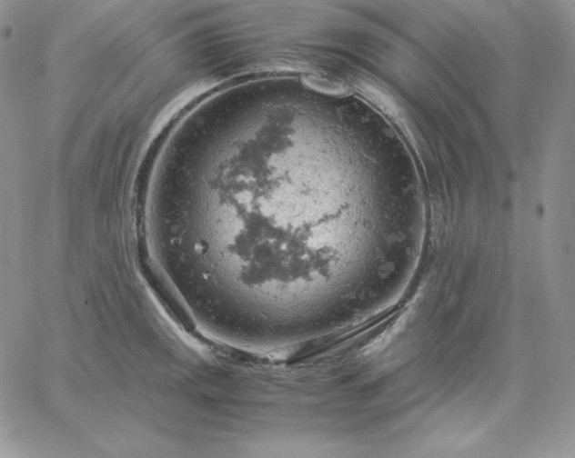 X0000061741141200512091604