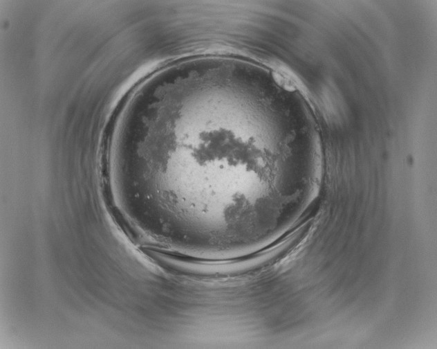 X0000061741142200512091604