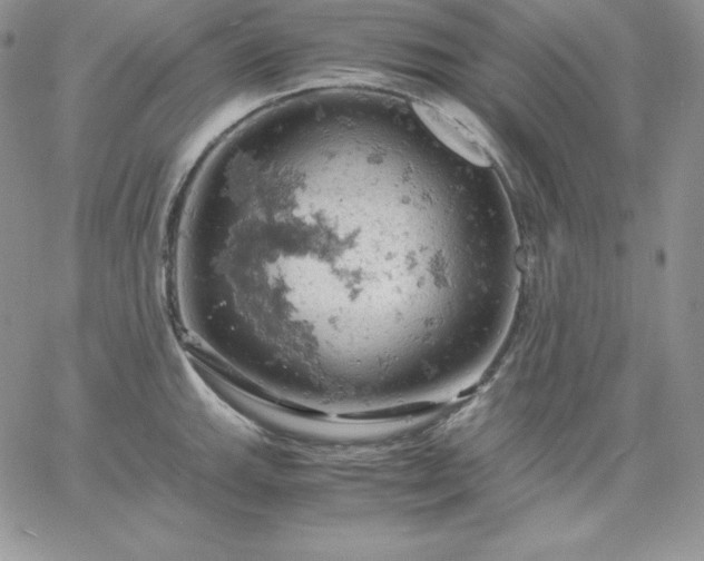 X0000061741143200512091604