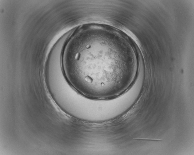 X0000061741144200512091604