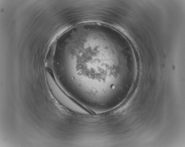 X0000061741145200512091604