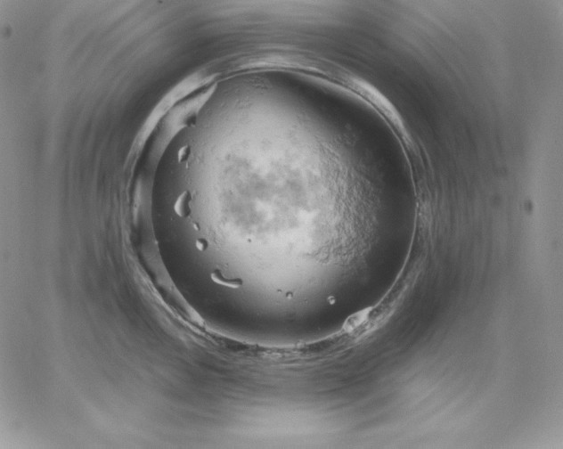 X0000061741146200512091604