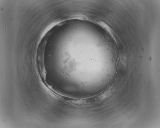 X0000061741147200512091604