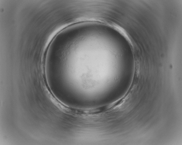 X0000061741148200512091604