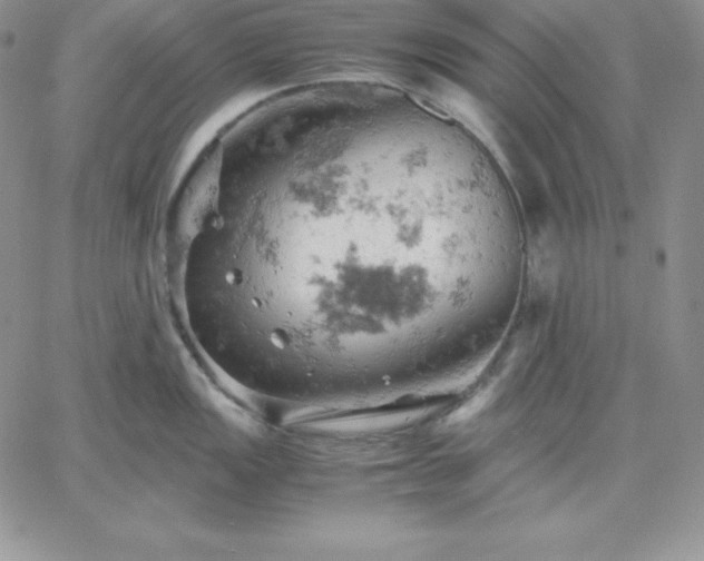 X0000061741149200512091604