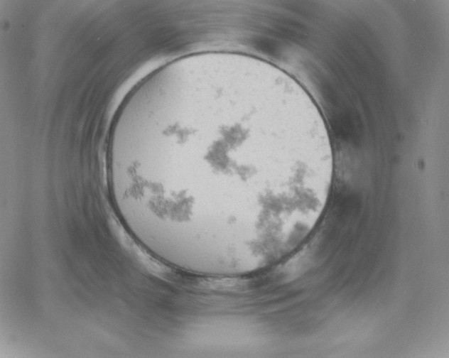 X0000061741150200512091604