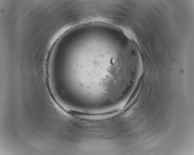 X0000061741151200512091604