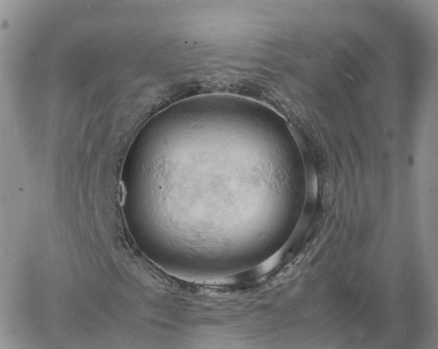 X0000061741153200512091603