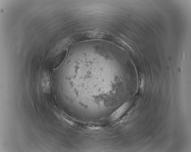 X0000061741154200512091603