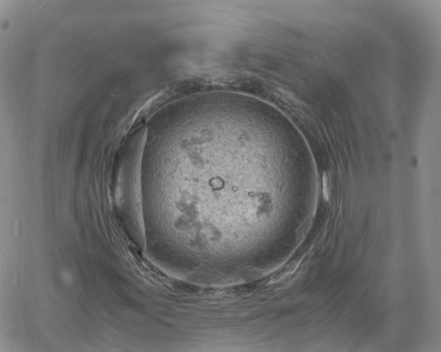 X0000061741155200512091603