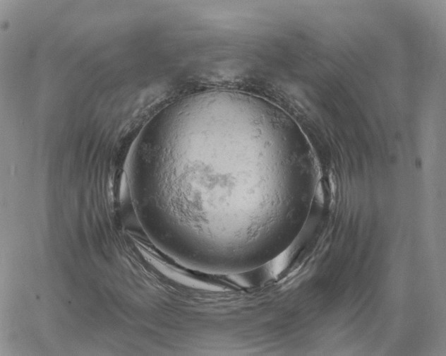 X0000061741156200512091603