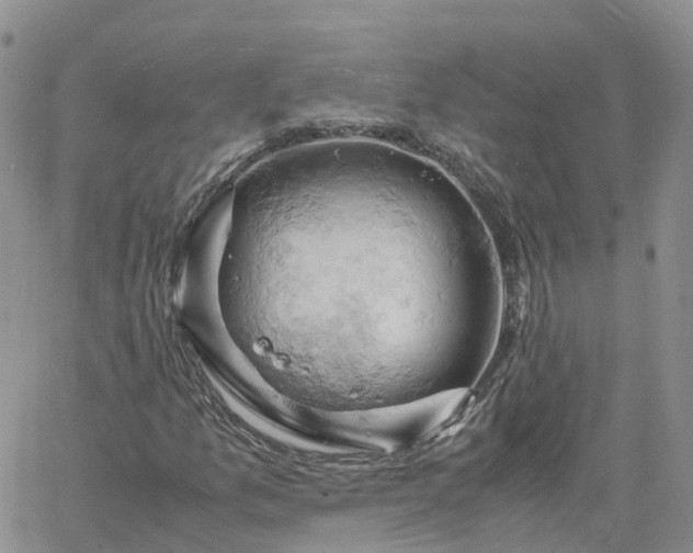 X0000061741157200512091603