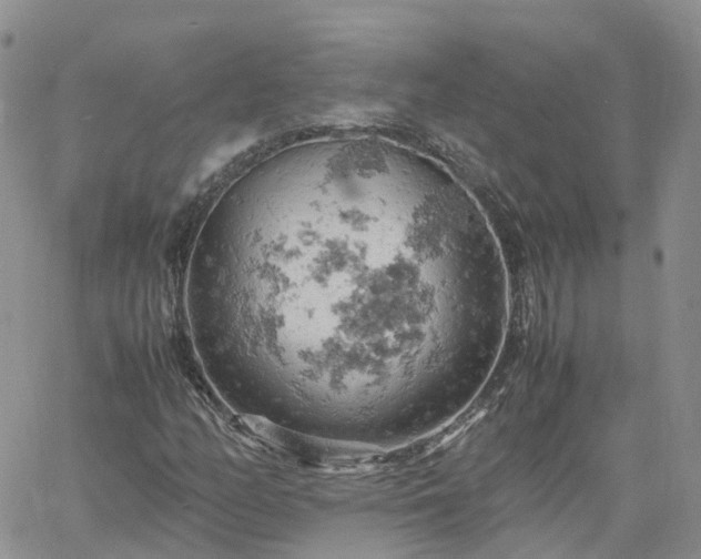 X0000061741158200512091603